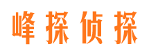 江东侦探